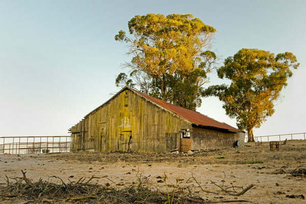 barn with 2 trees