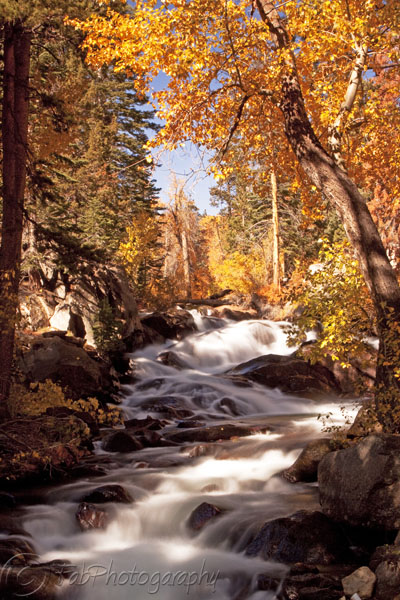 Lee Vining Creek in the fall