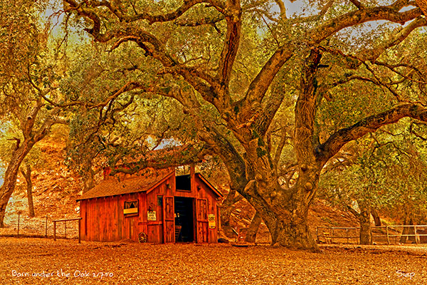Barn under the Oak