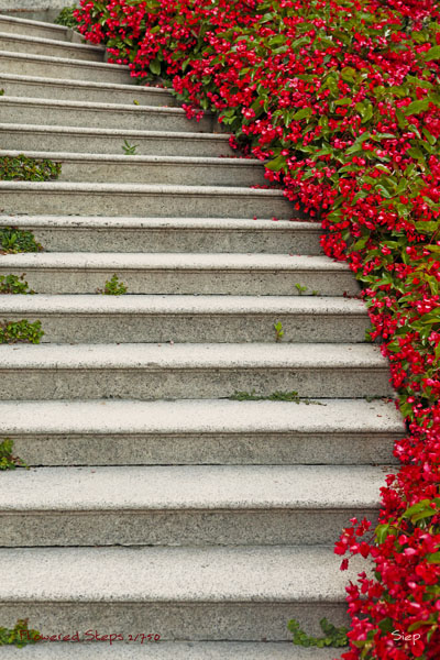 flowered steps