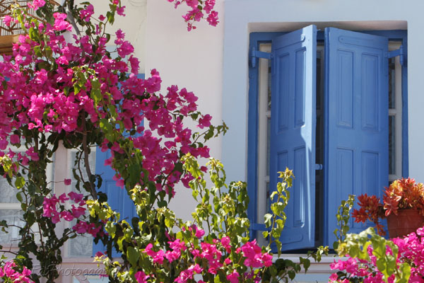 Greek Colors