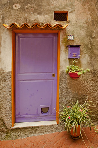 purple cat door