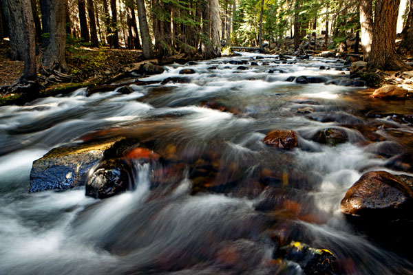 rapids in lee vining creek